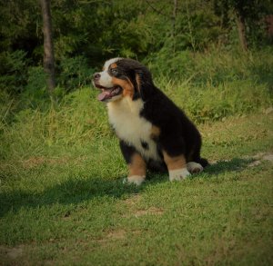 DSC_0098.JPG