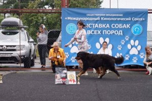 received_2189423924672091.jpeg