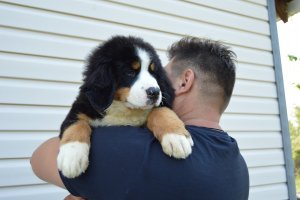 DSC_0178.JPG