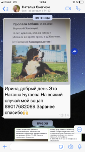 457B8DD8-DA7E-484A-946F-BD5434456E6E.png