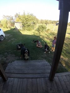 20190903_171738.jpg