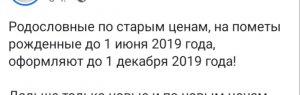 20190913_195659.jpg