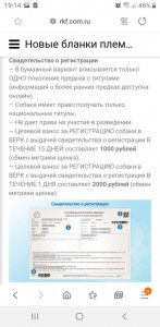 Screenshot_20190918-191449_Samsung Internet.jpg