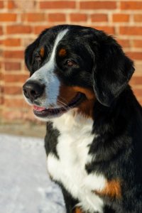 DSC_6039.jpg