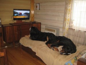 IMG_3493.JPG