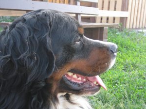 IMG_2789.JPG