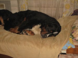 IMG_3492.JPG