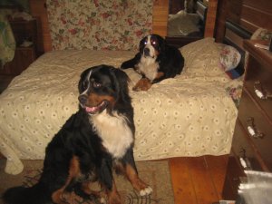IMG_3290.JPG