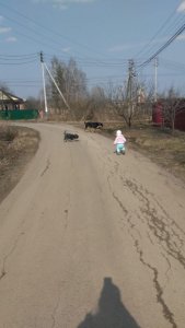 IMG-20190409-WA0001.jpg