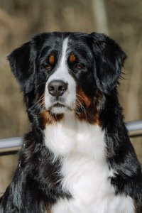 DSC_1645.jpg