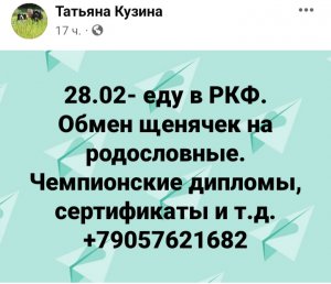20220226_151443.jpg
