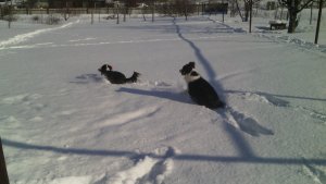 IMG_20220215_134327.jpg