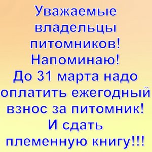 imgonline-com-ua-Text-on-Image-7WMt7vPfuSg7KgKu.jpg