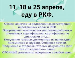 20220408_133646.jpg