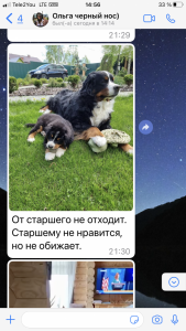 62E820BD-852E-42AA-A41F-85B6F2B1821A.png