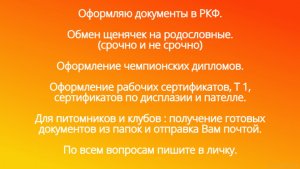 визитка ркф.jpg