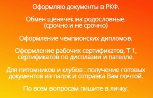 20220818_092434.jpg