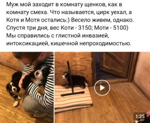 Screenshot_20221229-060713_VK.jpg