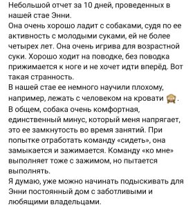 Screenshot_20230310_083137_VK.jpg