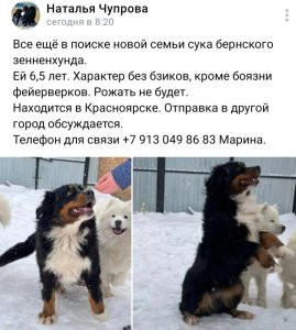Screenshot_20240207_180750_VK.jpg