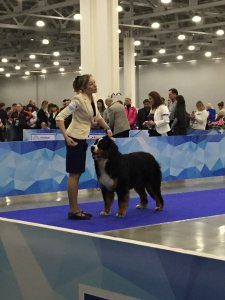 IMG_5155.JPG