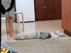 DSCN1776.jpg