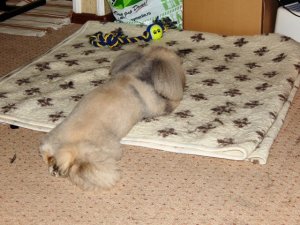DSCN1780.jpg