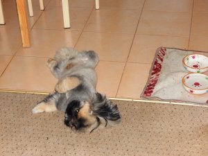 DSCN1781.jpg