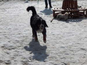 DSCN1784.jpg