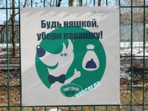 DSCN1785.jpg