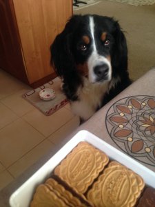 IMG_6583.JPG