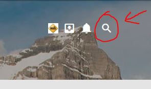 search.JPG
