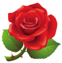 023346481.png