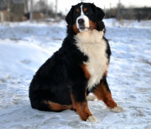 DSC_0718.JPG