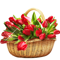 daisies8m_200.gif