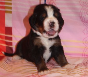 Евгеник.JPG