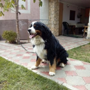 20170514_122037.jpg