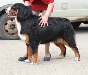 DSC_6625.JPG