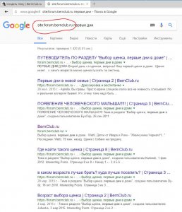 search.JPG