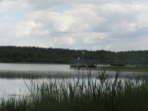 P6140046.JPG