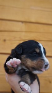 DSC00015.JPG