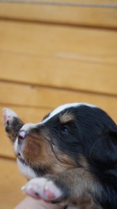 DSC00079.JPG