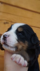 DSC00095.JPG