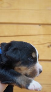 DSC00104.JPG