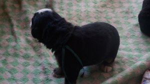DSC00061.JPG