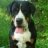 Кика