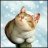 котик-жмотик