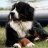 annete2907