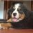 dog_Lover