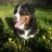 Лёлинская